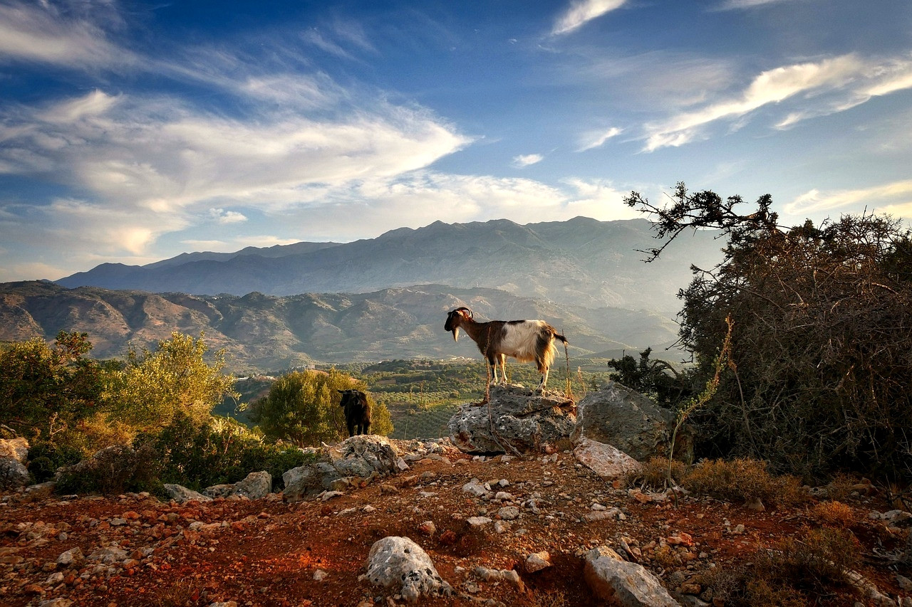 Gouden herfstlicht op de Kretenzische heuvels - Kreta - Griekenland