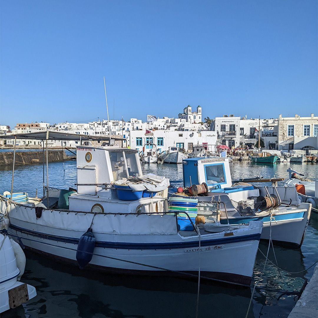 © Cécile Hénard Vissersboten in de haven van Naoussa - Paros - Griekenland